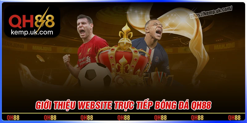 Giới thiệu về website trực tiếp bóng đá QH88