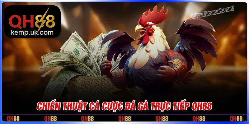 Khám phá chiến thuật đặt cược tại đá gà QH88