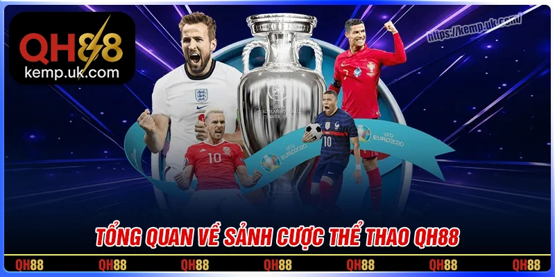 Tổng quan chung về sảnh thể thao QH88