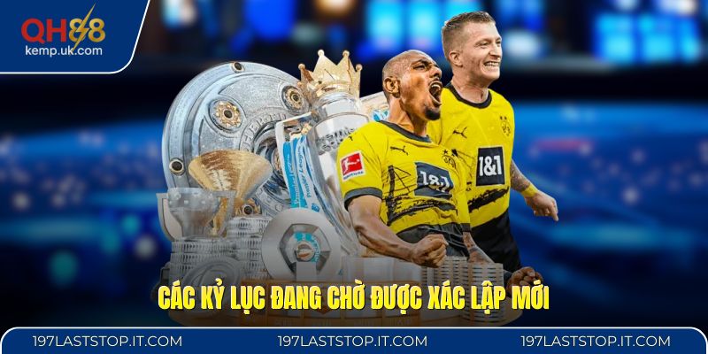 Các kỷ lục đang chờ được xác lập mới