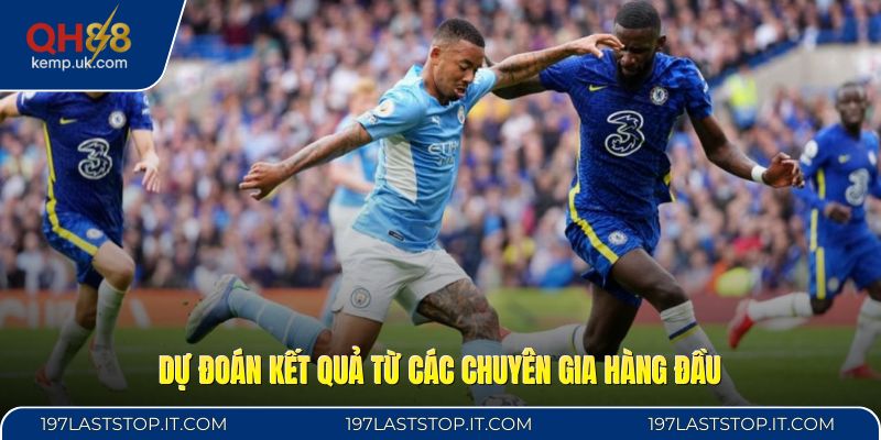 Dự đoán kết quả từ các chuyên gia hàng đầu