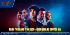 Phân Tích Bảng F WC2026 - Nhận Định Từ Chuyên Gia